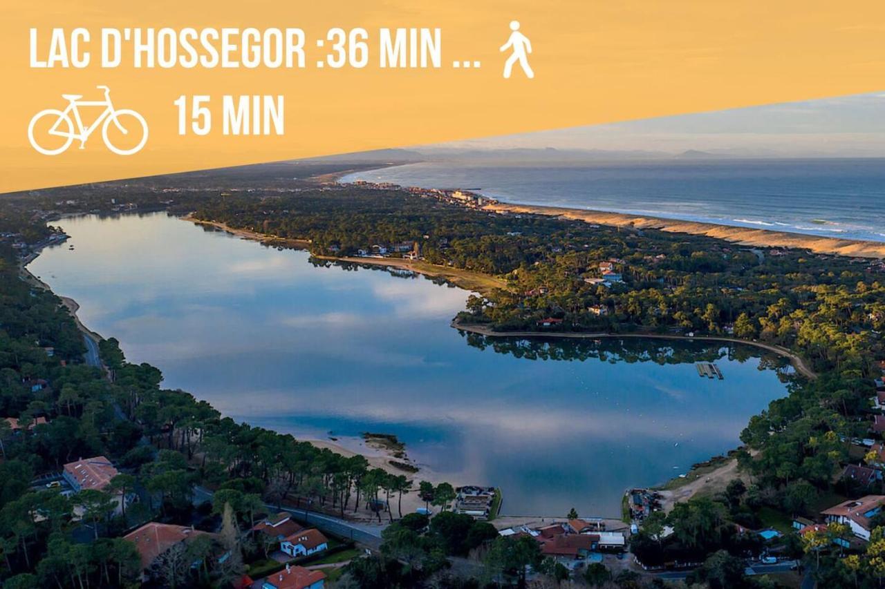 * Hossegor * Plage 100M * Vue Sur Les Pins *Surf Soorts-Hossegor Exterior foto