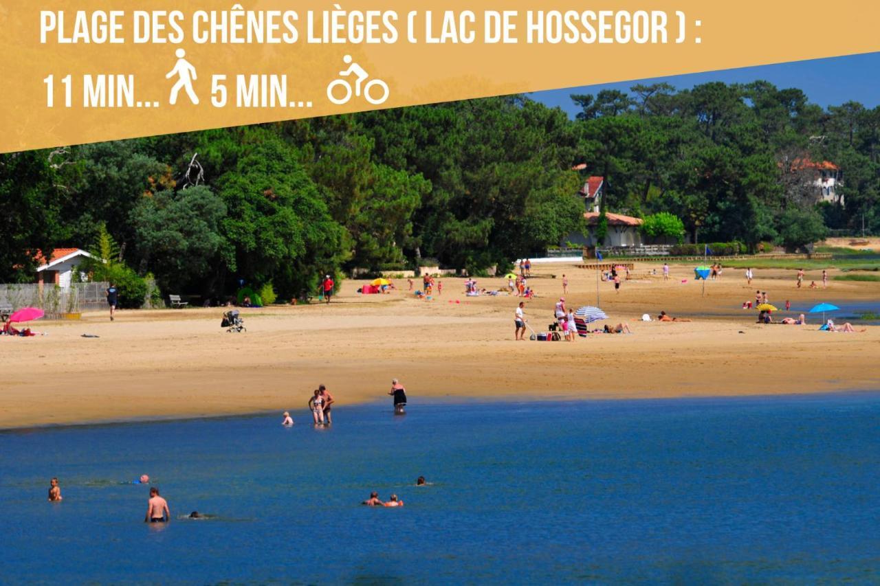 * Hossegor * Plage 100M * Vue Sur Les Pins *Surf Soorts-Hossegor Exterior foto